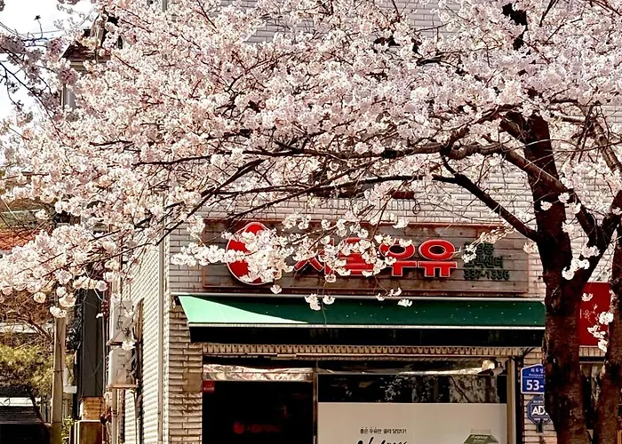 Hauskomma 서울 홍대,이태원,명동 짐보관 무료 주차 엘레베이터 새아파트