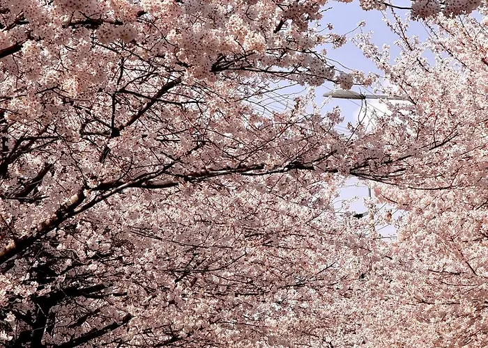 Hauskomma 서울 홍대,이태원,명동 짐보관 무료 주차 엘레베이터 새아파트 Appartement Séoul